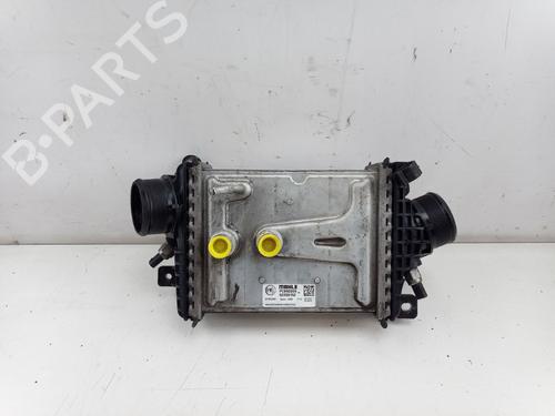 Ladeluftkühler für FIAT DUCATO Van (250_) 160 Multijet 2,2 D (160 hp) 30623927