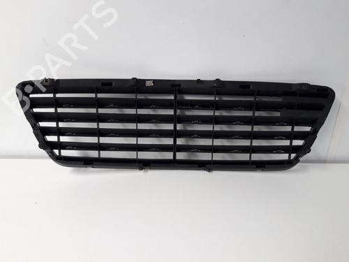Grill MERCEDES-BENZ E-CLASS (W210) E 320 CDI (210.026) | BP22461071C40 