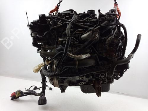 Engine FORD FIESTA VI (CB1, CCN) 1.6 TDCi | BP22494612M1 