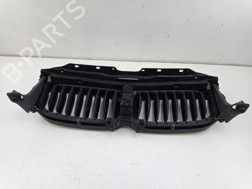 Grille BMW 5 (G30, F90) 540 i | BP29438369C40 