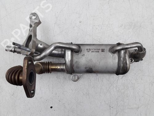 Egr für RENAULT MEGANE III Coupe (DZ0/1_) 1.5 dCi (DZ09, DZ0D, DZ1F, DZ1G, DZ14, DZ29) (110 hp) 22501031