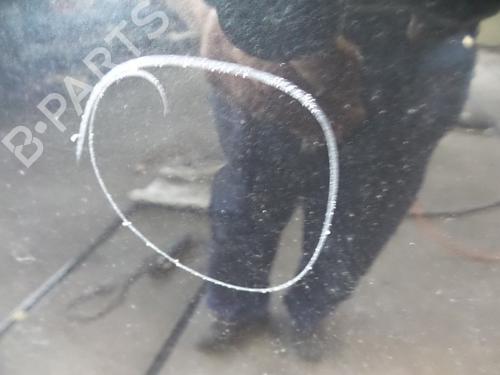 Left front door BMW 3 Touring (E91) 318 d | BP22485136C2 