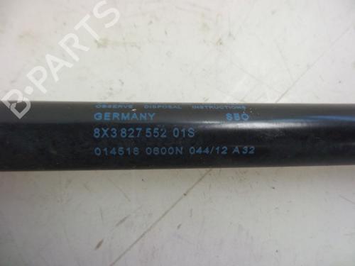 Tailgate lift support AUDI A1 (8X1, 8XK) 1.2 TFSI | BP22487201C138 