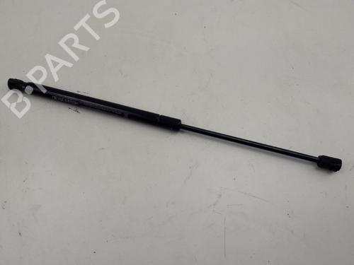 Used Tailgate lift support RENAULT MEGANE III Grandtour (KZ0/1) 1.5 dCi (KZ09, KZ0D, KZ1G, KZ29, KZ14, KZ1W, KZ10, KZ1F,... (110 hp) 22512457
