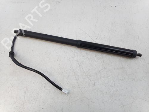 Used Tailgate lift support Tailgate lift support TOYOTA RAV 4 V (_A5_, _H5_) 2.5 Hybrid (AXAH52) (218 hp) 34194851 34194851