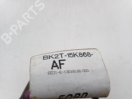 Electronic module FORD TRANSIT CUSTOM V362 Van (FY, FZ) 2.0 EcoBlue | BP31599813M83