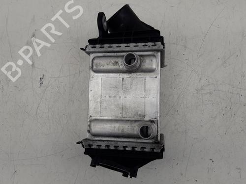 Intercooler BMW 6 Convertible (F12) M6 | BP22508173M30 