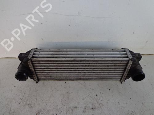 Used Intercooler FORD TRANSIT CONNECT (P65_, P70_, P80_) 1.8 TDCi (90 hp) 22472461