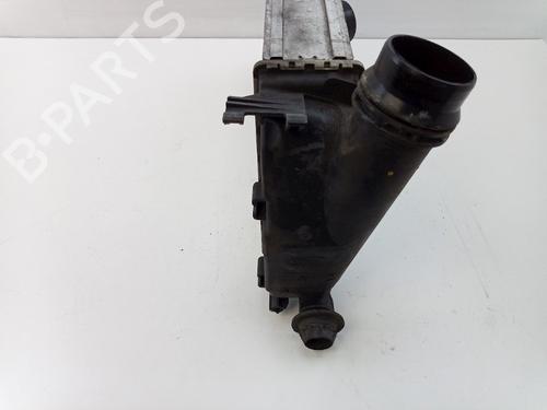 Intercooler NISSAN QASHQAI II (J11, J11_) 1.5 dCi | BP22492476M30
