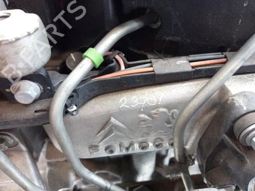 Engine FORD TRANSIT CONNECT V408 Box Body/MPV 1.6 TDCi | BP31719285M1 