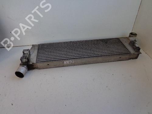 Used Intercooler RENAULT GRAND SCÉNIC II (JM0/1_) 1.5 dCi (JM1E) (106 hp) 22469413