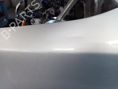Left front fenders SKODA FABIA II Combi (545) 1.2 TDI | BP22506924C41 