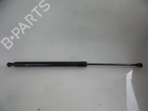 Used Tailgate lift support RENAULT SCÉNIC III (JZ0/1_) 1.5 dCi (110 hp) 22482083