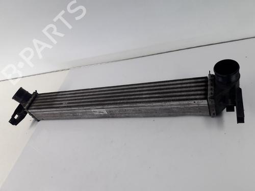 Used Intercooler SKODA FABIA II Combi (545) 1.2 TDI (75 hp) 22505643