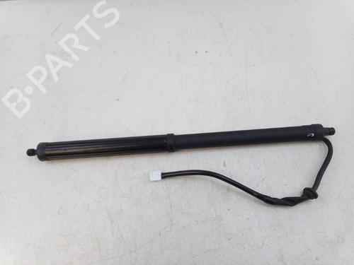 Ammortizzatore portellone posteriore Ammortizzatore portellone posteriore TOYOTA RAV 4 V (_A5_, _H5_) 2.5 Hybrid (AXAH52) (218 hp) 34194852 34194852