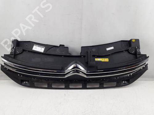 Grille CITROËN C3 III (SX) 1.2 PureTech 82 | BP22508064C40 
