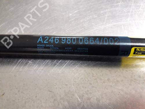 Tailgate lift support MERCEDES-BENZ B-CLASS Sports Tourer (W246, W242) B 220 CDI / d (246.203) | BP22491943C138 