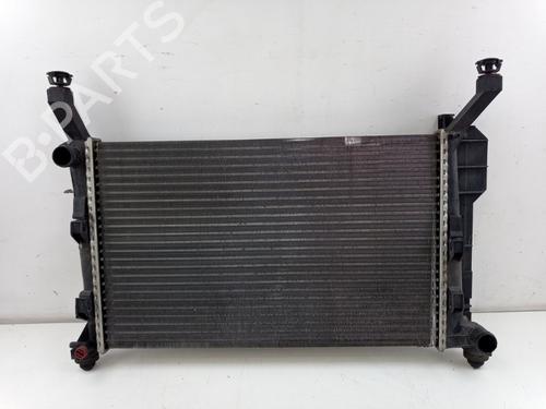 Water radiator MERCEDES-BENZ A-CLASS (W169) A 160 (169.031, 169.331) | BP29373793M31 