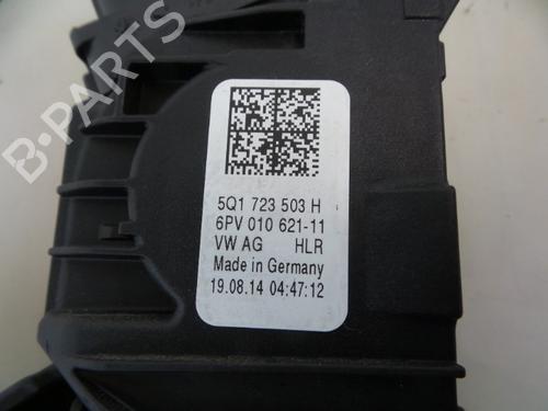 Pedal VW GOLF VII (5G1, BQ1, BE1, BE2) 1.6 TDI | BP22481826I4 