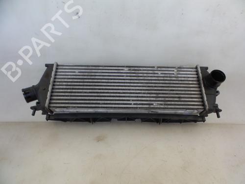 Intercooler RENAULT TRAFIC II Van (FL) 2.0 dCi 115 (FL01, FL0U, FL00, FL0H, FL0M) (114 hp) 22489203