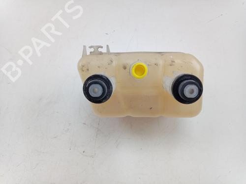 Ekpansionstank FIAT DUCATO Platform/Chassis (250_) 130 Multijet 2,3 D | BP31298247C120
