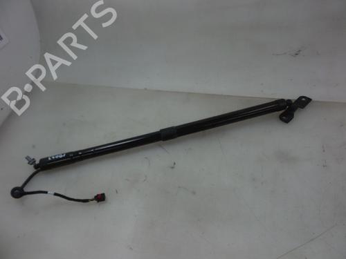 Used Tailgate lift support FORD C-MAX II (DXA/CB7, DXA/CEU) 1.6 EcoBoost (150 hp) 22489302