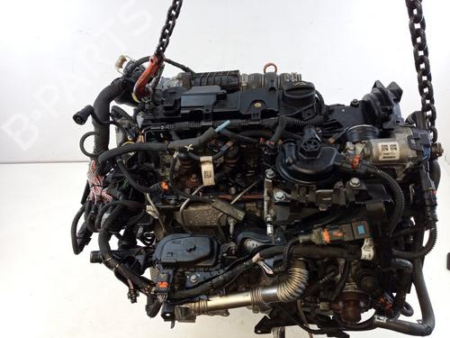 Engine PEUGEOT PARTNER Box Body/MPV (K9) 1.6 BlueHDI 100 | BP25979323M1 