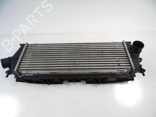 Used Intercooler RENAULT TRAFIC II Van (FL) 2.5 dCi (FL0R, FL0V) (114 hp) 22473035