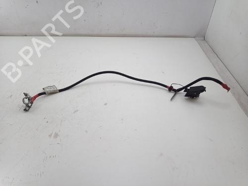 Used Cable FIAT PANDA (169_) 1.2 (169AXF2A, 169AXF1A) (69 hp) 30727093