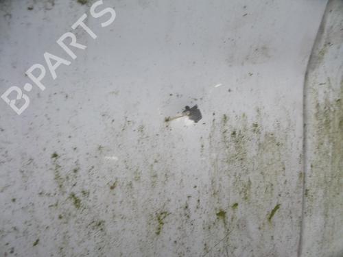 Tailgate RENAULT TRAFIC II Van (FL) 2.0 dCi 115 (FL01, FL0U, FL00, FL0H, FL0M) | BP22485800C6 