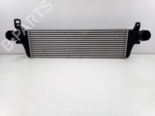 Intercooler VW TRANSPORTER T5 Van (7HA, 7HH, 7EA, 7EH) 2.0 BiTDI (180 hp) 22513559