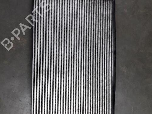 Used Intercooler SKODA OCTAVIA II Combi (1Z5) 1.9 TDI (105 hp) 22460048