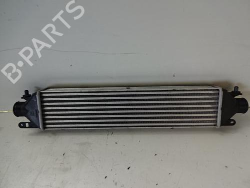 Used Intercooler FIAT PUNTO (199_) 0.9 Twinair Turbo (86 hp) 22471658