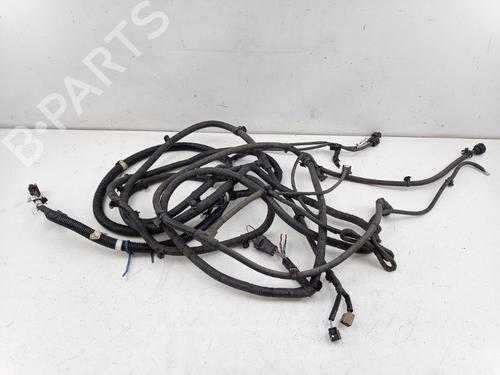 Ledningsnet RENAULT MASTER III Platform/Chassis (EV, HV, UV) 2.3 dCi 145 FWD (EV0E, EV0F, HV0E, HV0F, UV0E, UV0F,... (146 hp) 25794860