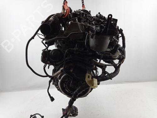Engine FORD FIESTA VI (CB1, CCN) 1.6 TDCi | BP22494612M1 