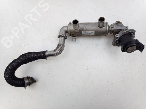 Egr FORD FOCUS II Turnier (DA_, FFS, DS) 1.6 TDCi (109 hp) 23981461