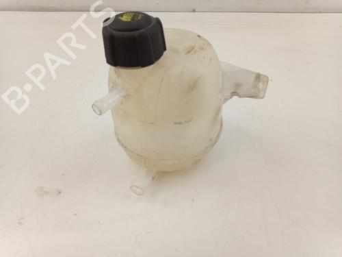 Ekpansionstank DACIA SANDERO 1.2 16V (75 hp) 28048749