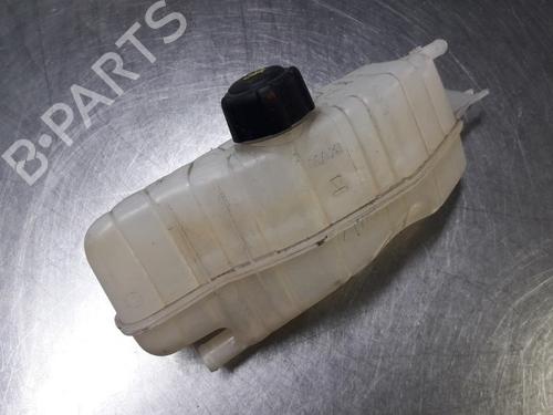 Used Expansion tank RENAULT MODUS / GRAND MODUS (F/JP0_) 1.6 (JP03, JP0B, JP0U, JP0Y, JP1G) (112 hp) 22460958