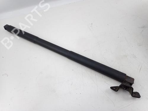 Used Tailgate lift support MERCEDES-BENZ M-CLASS (W166) ML 250 CDI / BlueTEC 4-matic (166.004, 166.003) (204 hp) 22496931