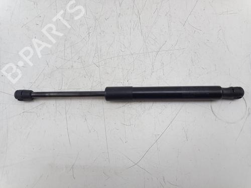 Gassdemper Bakluke TESLA MODEL 3 (5YJ3) EV (261 hp) 22495486