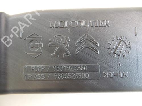 Windscreen washer tank PEUGEOT 308 SW II (LC_, LJ_, LR_, LX_, L4_) 1.6 BlueHDi 120 | BP22480382C113