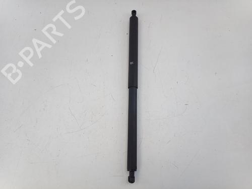 tailgate-lift-support-tesla-model-y-5yjy-2019-39207497 main image