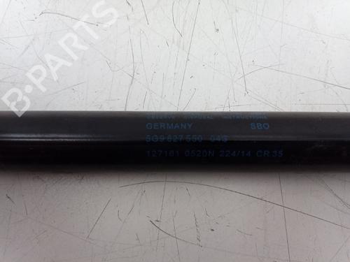 Tailgate lift support VW GOLF VII Variant (BA5, BV5) 1.6 TDI | BP22495545C138 