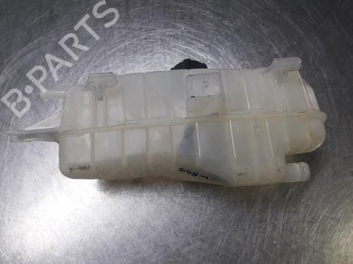 Expansion tank RENAULT CLIO III (BR0/1, CR0/1) 1.2 16V (BR02, BR0J, BR11, CR02, CR0J, CR11) | BP22454905C120 