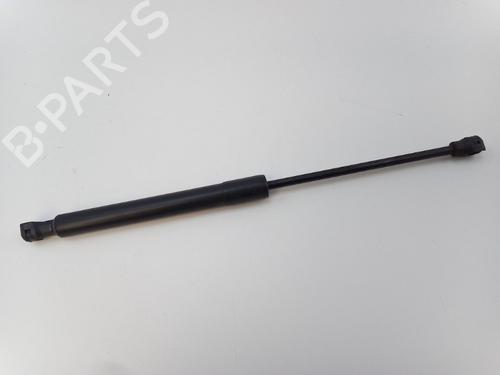 Used Hood lift support RENAULT KANGOO / GRAND KANGOO II (KW0/1_) 1.2 TCe 115 (KW02, KW14) (115 hp) 22492510