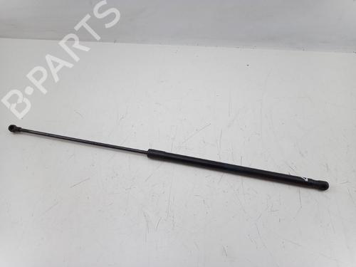 Used Hood lift support BMW Z4 Roadster (E89) sDrive 23 i (204 hp) 22493736