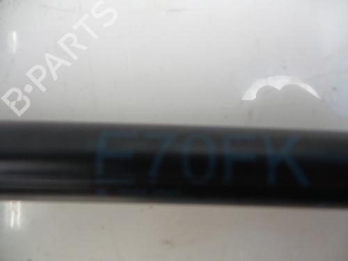 Hood lift support BMW X6 (E71, E72) xDrive 35 d | BP22476255C139 