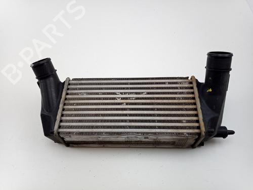 Intercooler FORD ECOSPORT 1.0 EcoBoost (125 hp) 22514151