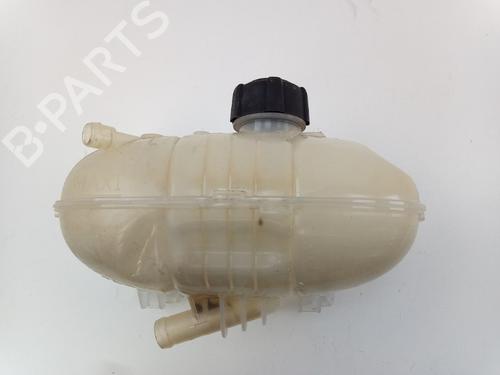 Expansion tank RENAULT KANGOO / GRAND KANGOO II (KW0/1_) 1.2 TCe 115 (KW02, KW14) | BP22492495C120 