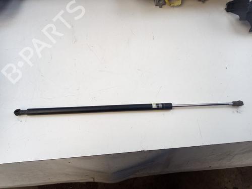 Used Tailgate lift support TOYOTA PRIUS PLUS (_W4_) 1.8 Hybrid (ZVW40W, ZVW41W) (136 hp) 28440228